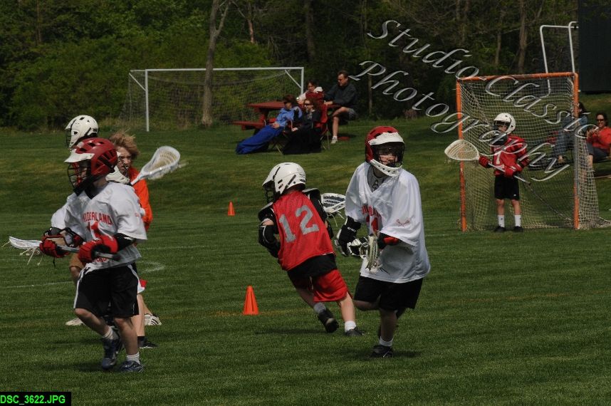 Albany Lacrosse Jamboree