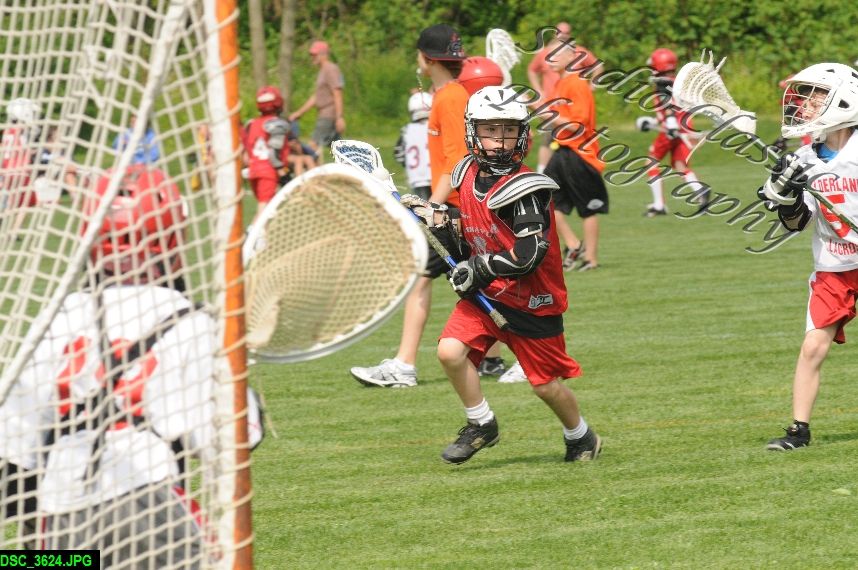 Albany Lacrosse Jamboree