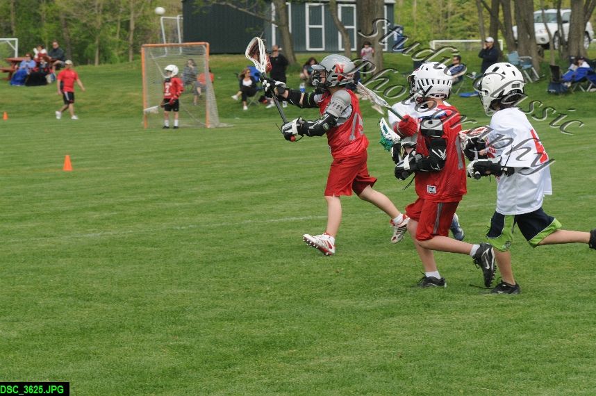 Albany Lacrosse Jamboree
