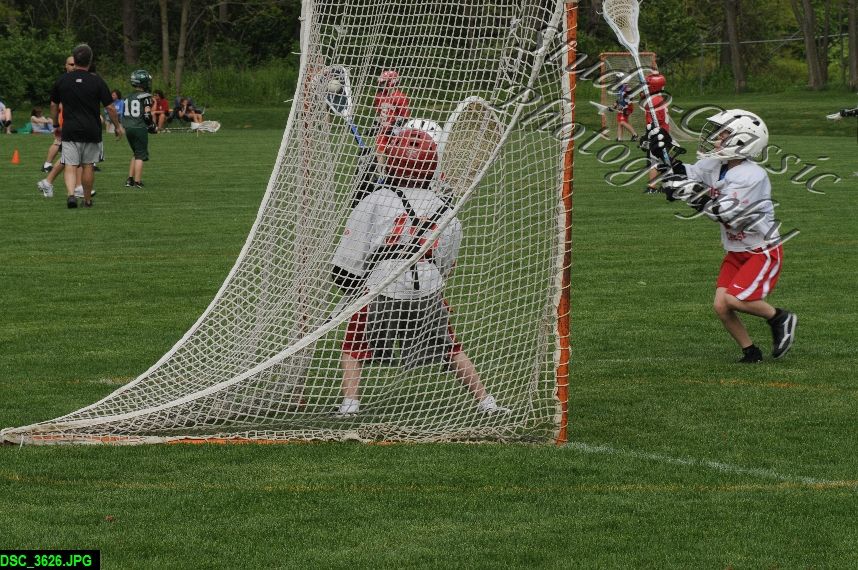 Albany Lacrosse Jamboree
