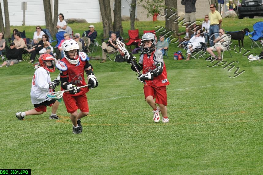 Albany Lacrosse Jamboree