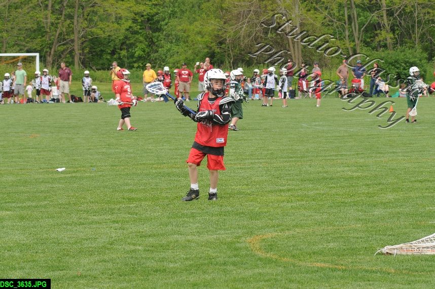 Albany Lacrosse Jamboree