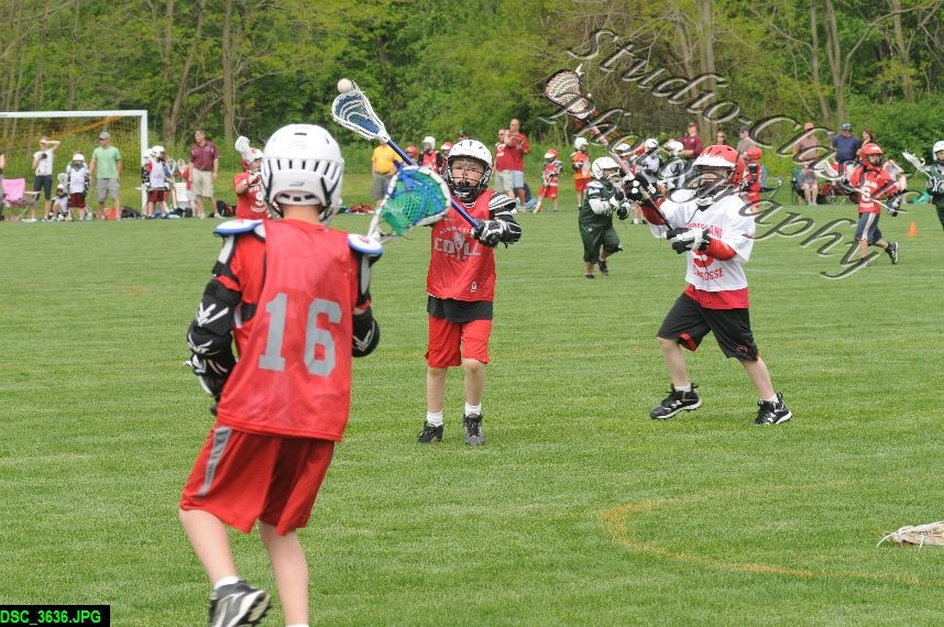 Albany Lacrosse Jamboree