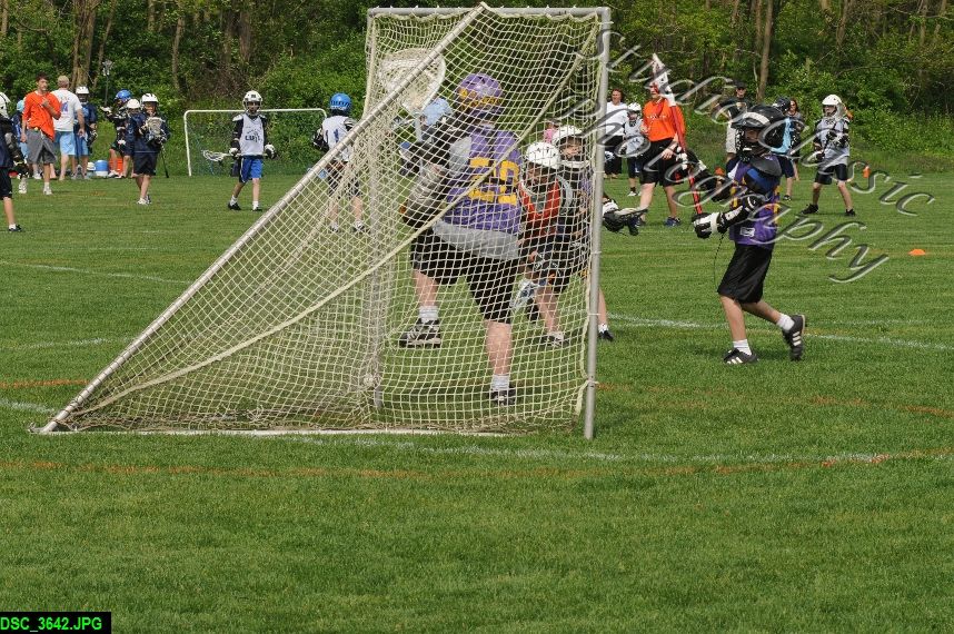 Albany Lacrosse Jamboree