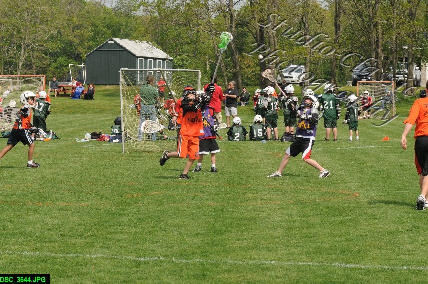 Albany Lacrosse Jamboree