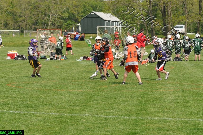 Albany Lacrosse Jamboree