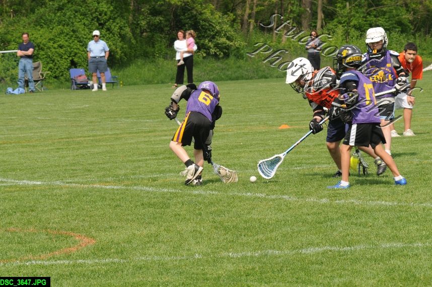 Albany Lacrosse Jamboree