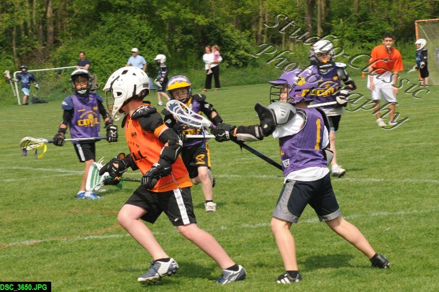 Albany Lacrosse Jamboree
