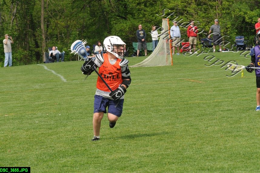 Albany Lacrosse Jamboree
