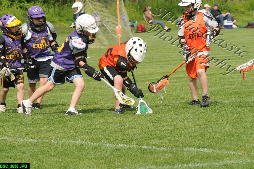 Albany Lacrosse Jamboree
