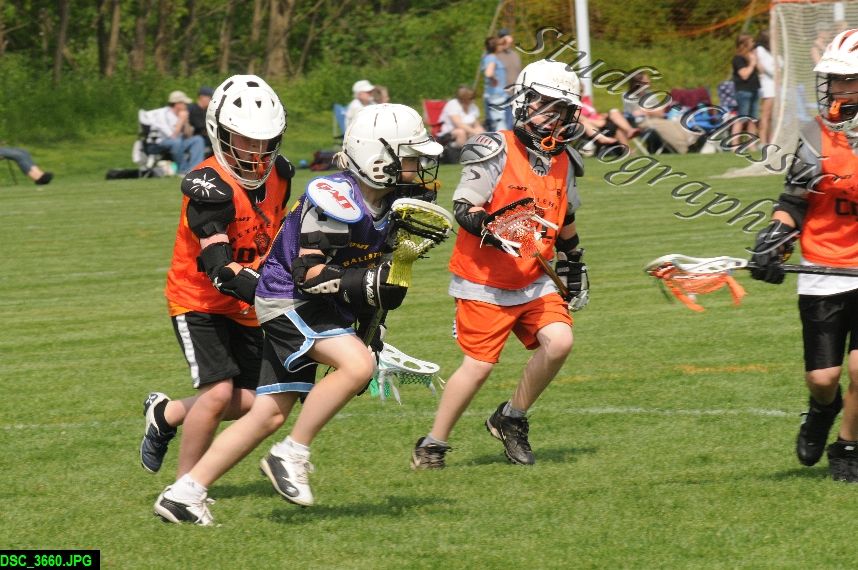 Albany Lacrosse Jamboree