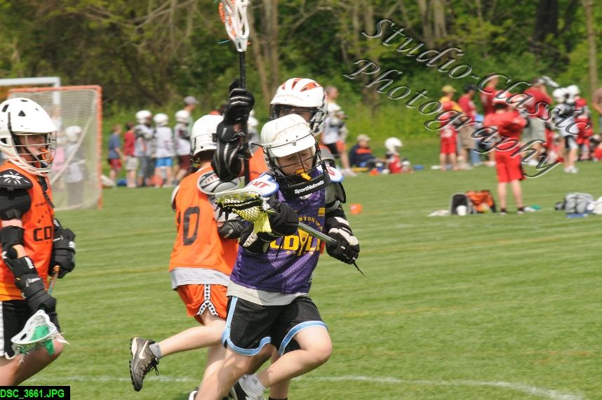 Albany Lacrosse Jamboree
