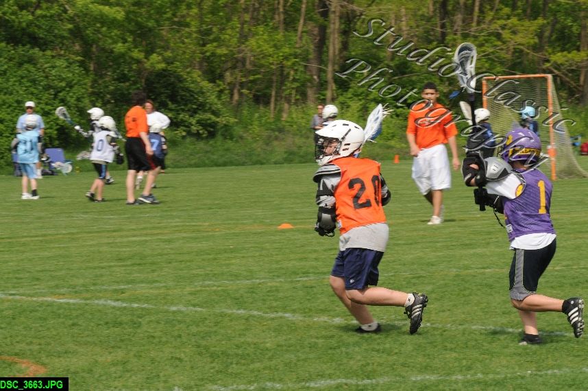 Albany Lacrosse Jamboree