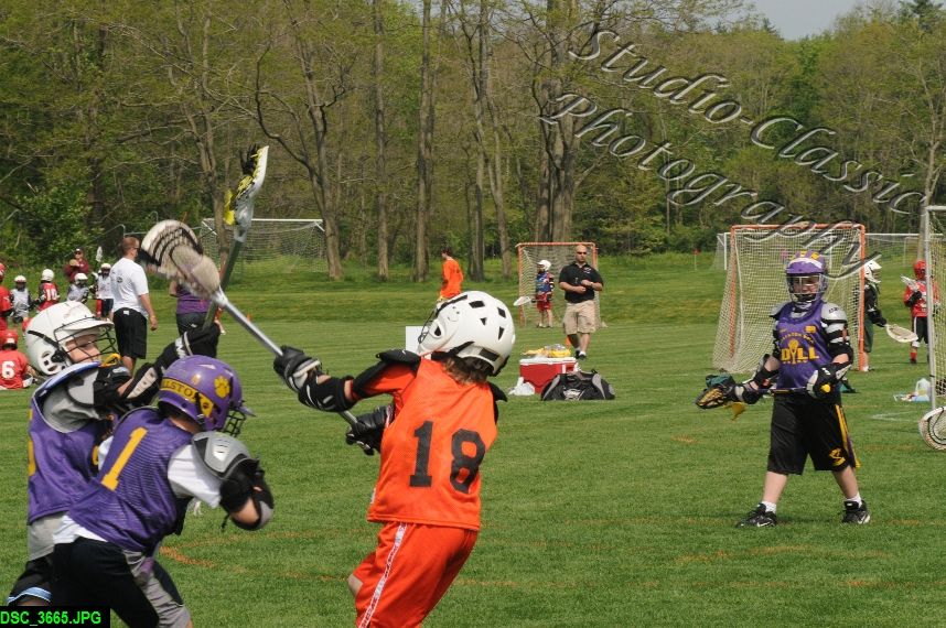 Albany Lacrosse Jamboree