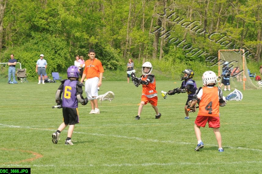 Albany Lacrosse Jamboree
