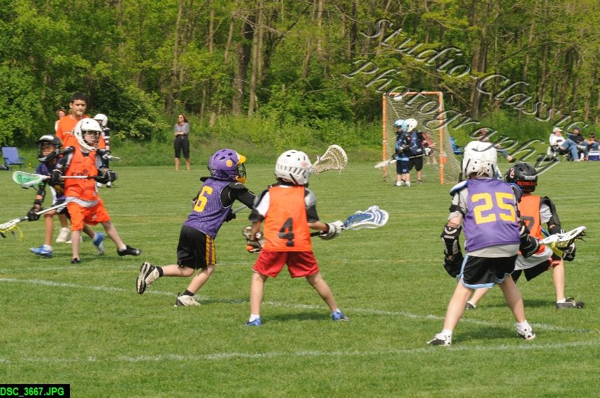 Albany Lacrosse Jamboree