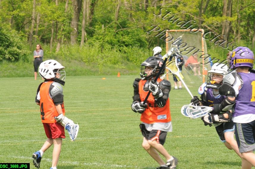 Albany Lacrosse Jamboree