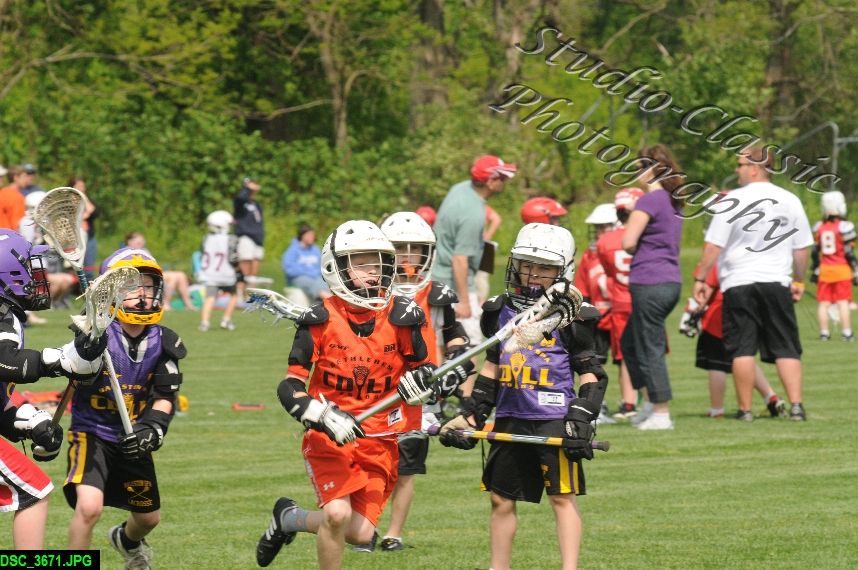 Albany Lacrosse Jamboree
