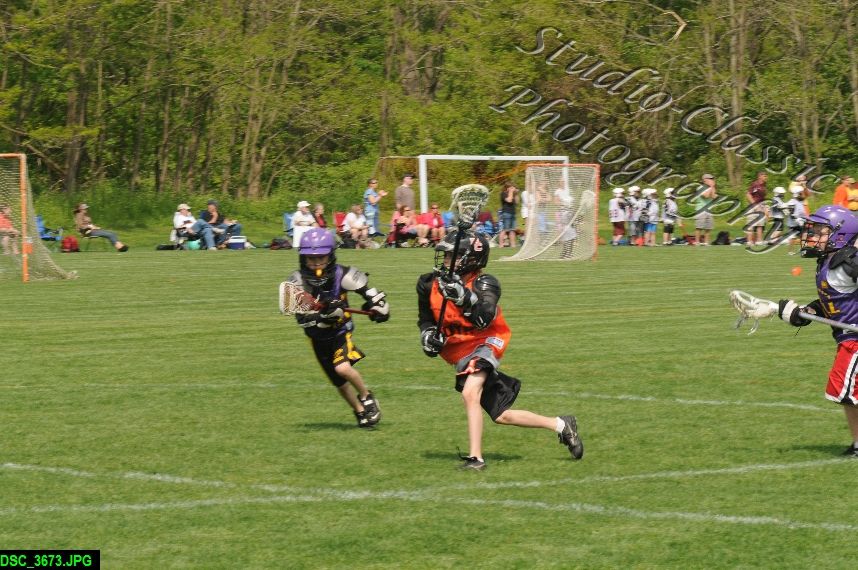 Albany Lacrosse Jamboree