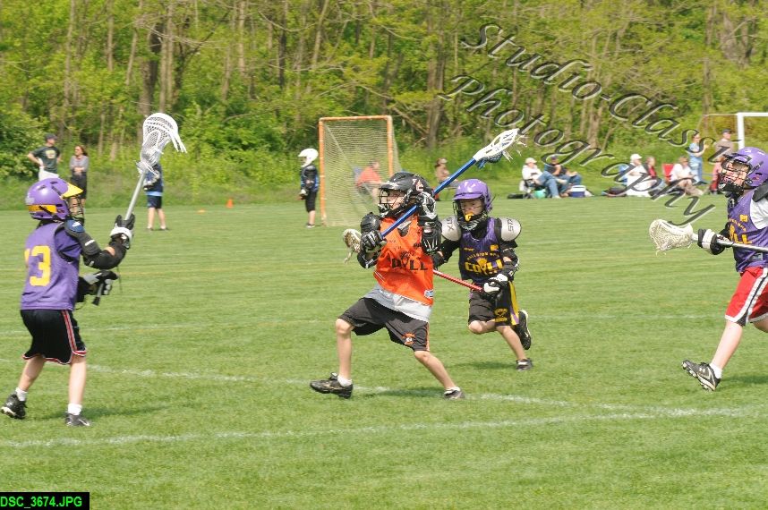 Albany Lacrosse Jamboree