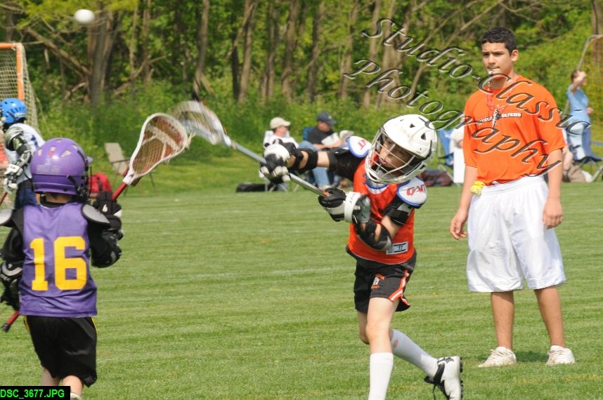 Albany Lacrosse Jamboree