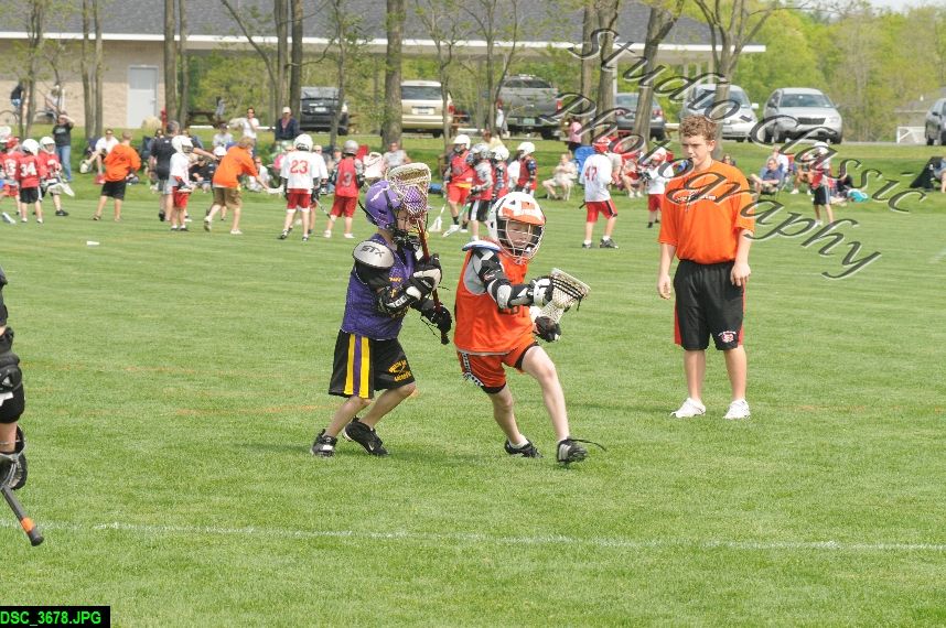 Albany Lacrosse Jamboree