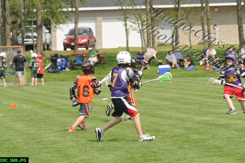 Albany Lacrosse Jamboree