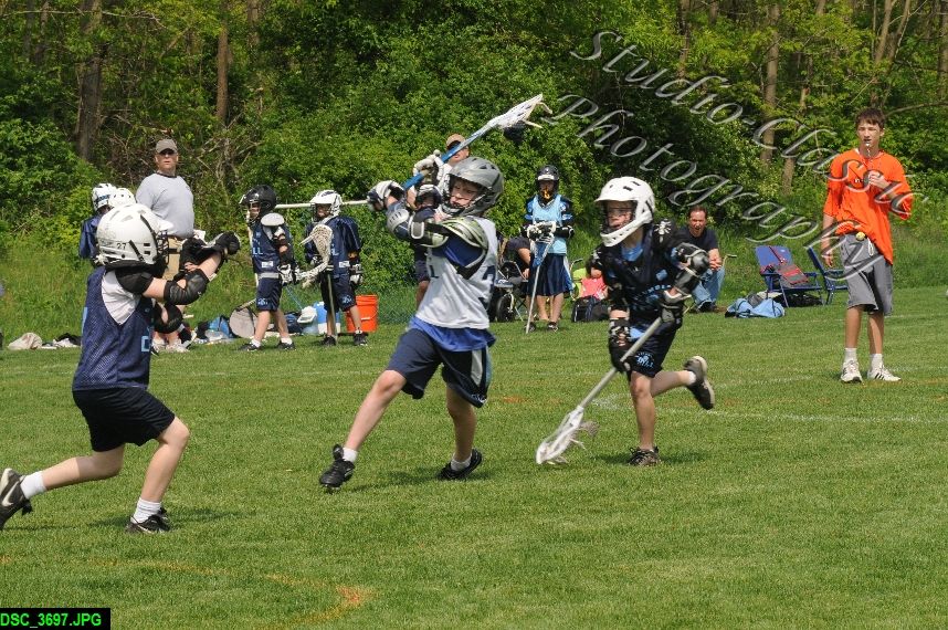 Albany Lacrosse Jamboree