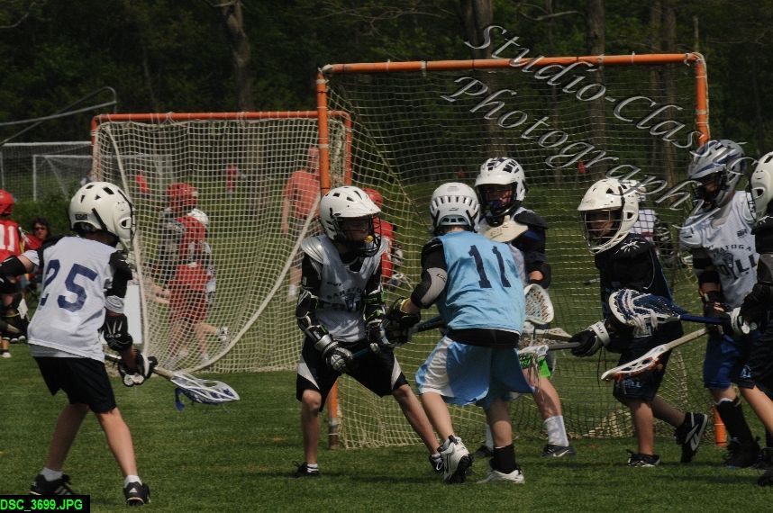 Albany Lacrosse Jamboree