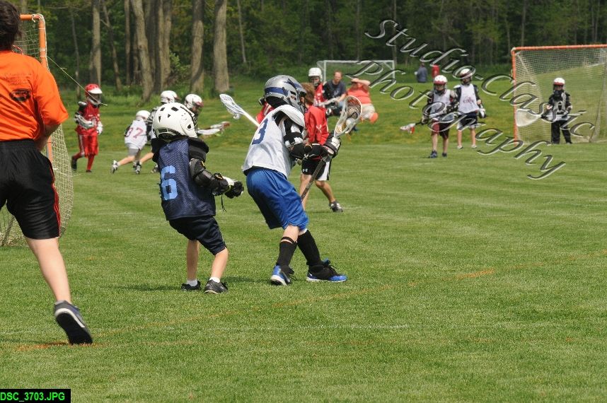Albany Lacrosse Jamboree