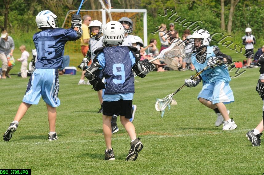 Albany Lacrosse Jamboree