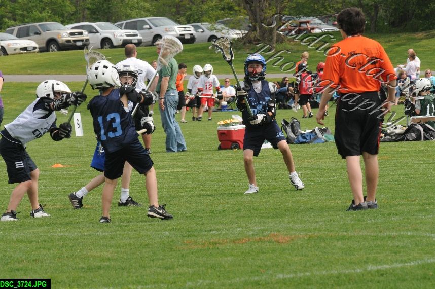 Albany Lacrosse Jamboree