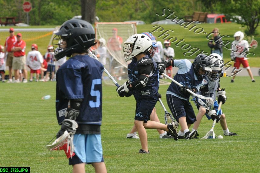Albany Lacrosse Jamboree