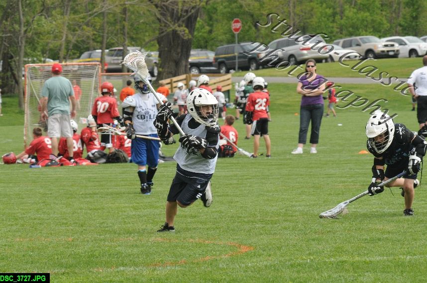 Albany Lacrosse Jamboree