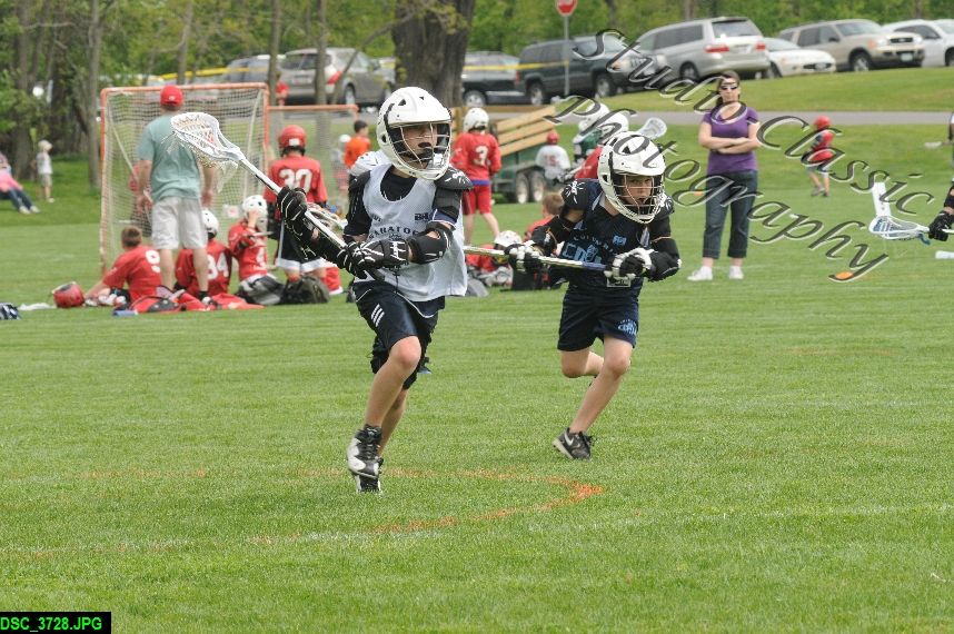 Albany Lacrosse Jamboree