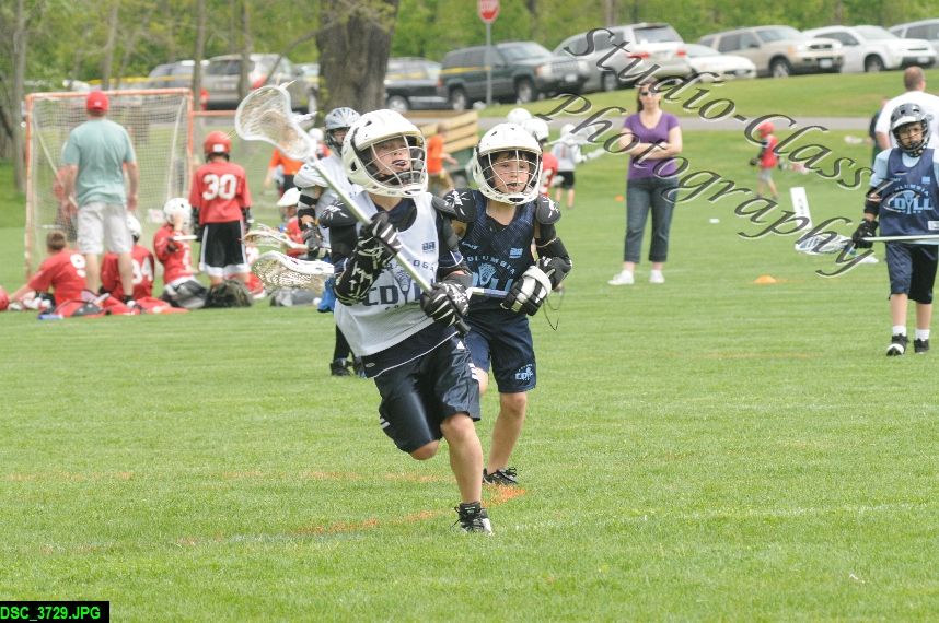 Albany Lacrosse Jamboree