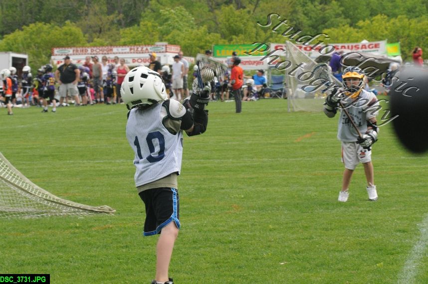 Albany Lacrosse Jamboree
