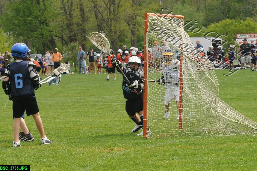 Albany Lacrosse Jamboree