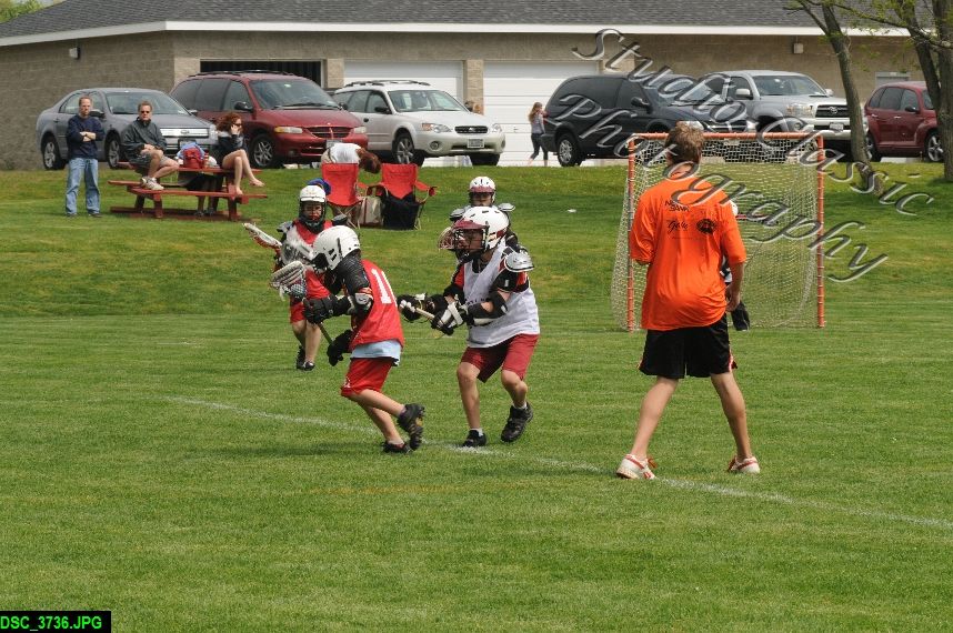 Albany Lacrosse Jamboree