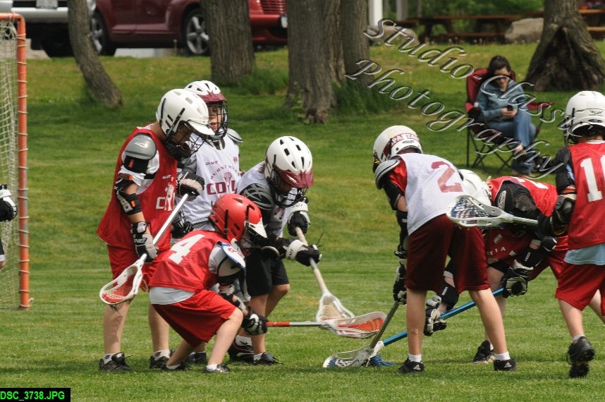 Albany Lacrosse Jamboree