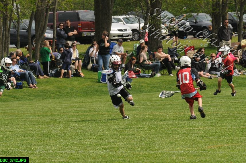 Albany Lacrosse Jamboree