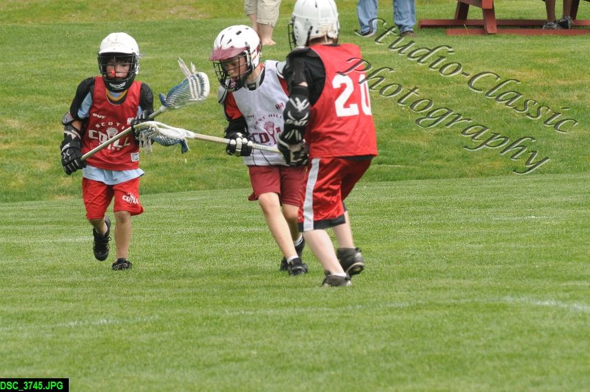 Albany Lacrosse Jamboree