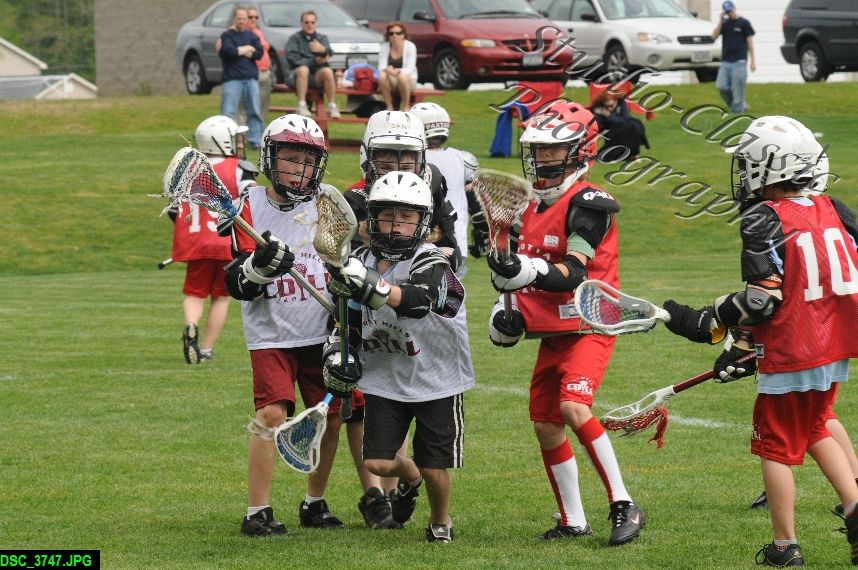 Albany Lacrosse Jamboree