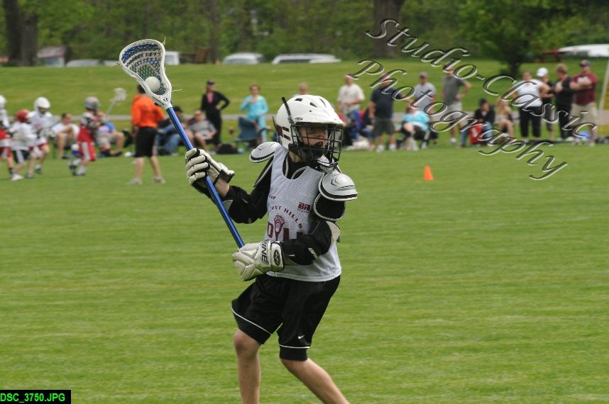 Albany Lacrosse Jamboree