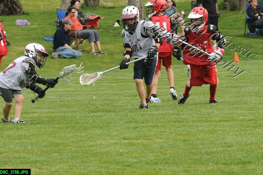 Albany Lacrosse Jamboree