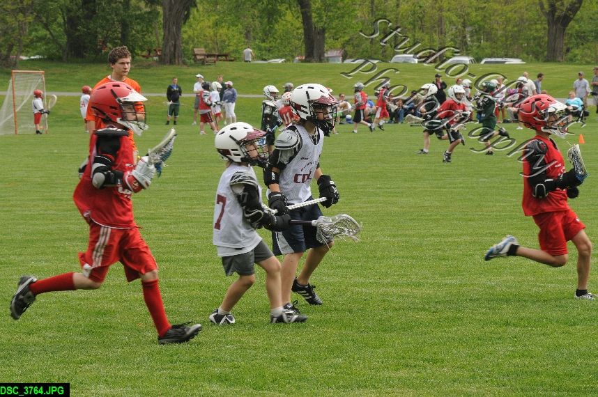 Albany Lacrosse Jamboree