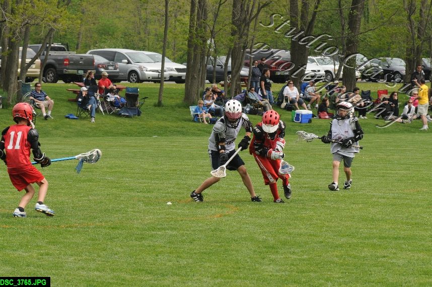 Albany Lacrosse Jamboree
