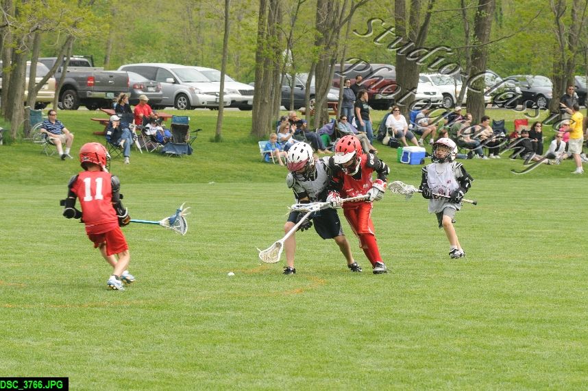Albany Lacrosse Jamboree