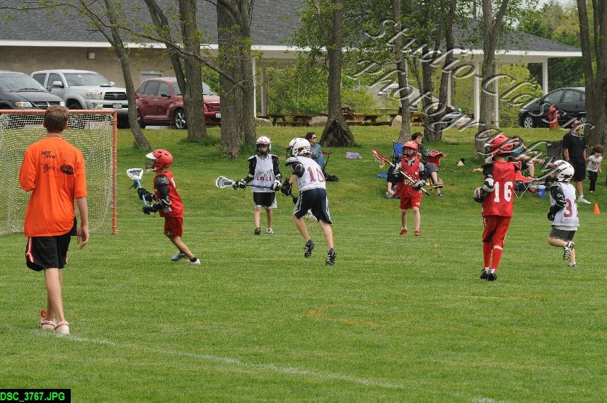 Albany Lacrosse Jamboree