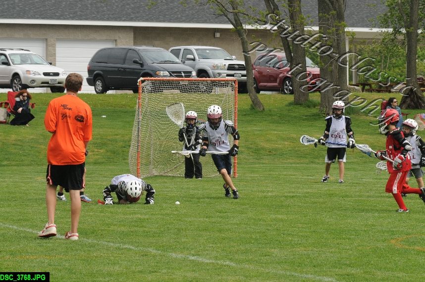 Albany Lacrosse Jamboree